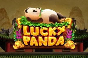 Lucky Panda Berikan Kesempatan JP Maxwin dengan Pendekatan Lebih Cerdas